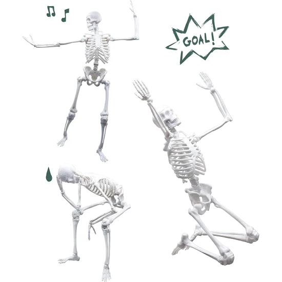 Sestavte obrovskou lidskou kostru s realistickou strukturou.