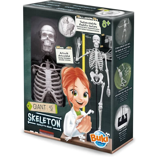 Sestavte obrovskou lidskou kostru s realistickou strukturou.