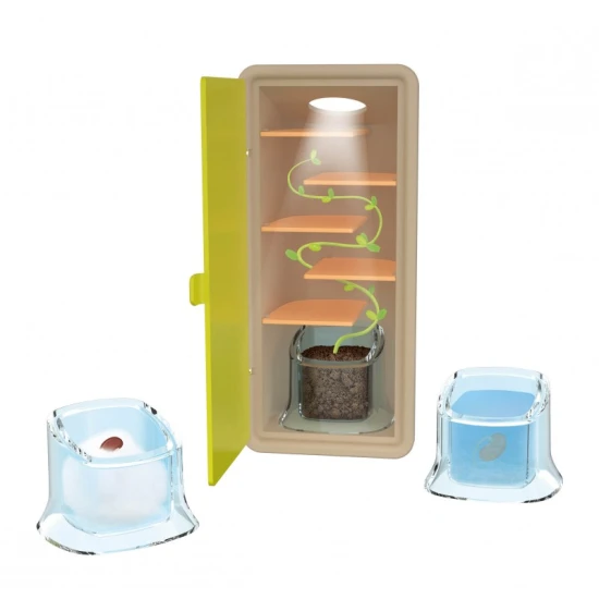 Poznejte život semínka krok za krokem jako při hledání pokladu!