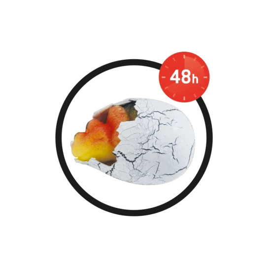 Sleduj jak se líhne dinosaurus! Vzrušující hračka pro milovníky dinosaurů.