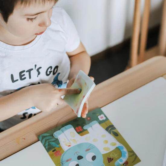 Créa Lign Malování prstovými barvami Domácí zvířátka 3+ Kreativní sada pro děti Prstové barvy Domácí zvířata