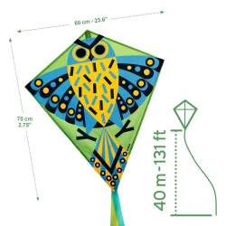 Létající drak Barevná sova