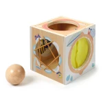 První rozvojová dřevěná hračka BabyBox