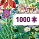 Puzzle Galerie Duhoví tygři 1000 ks