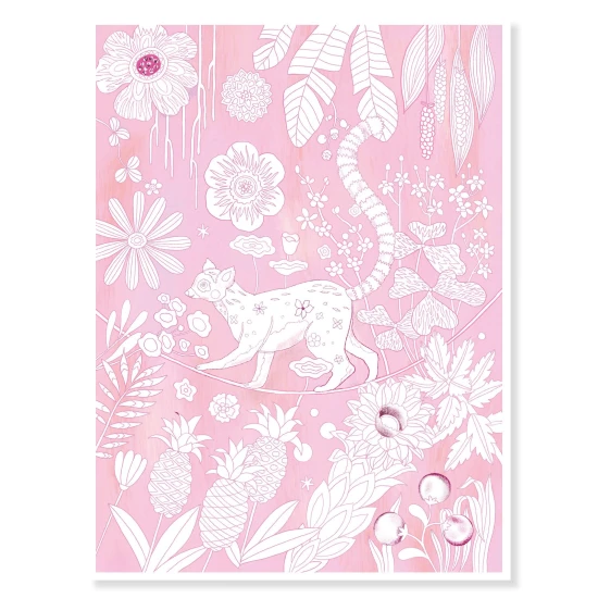 Velké omalovánky Divočina