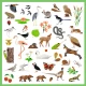 Samolepky: Fauna (160 ks)