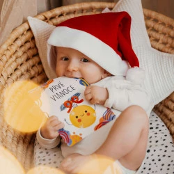 Vánoční sada Plyšový tygr a Milníkové a kontrastní kartičky 2v1 Vánoční sada Plyšový tygr a Milníkové a kontrastní kartičky 2v1