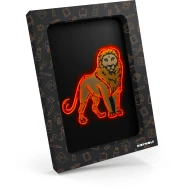 Kreativní sada Kidyneon Orange