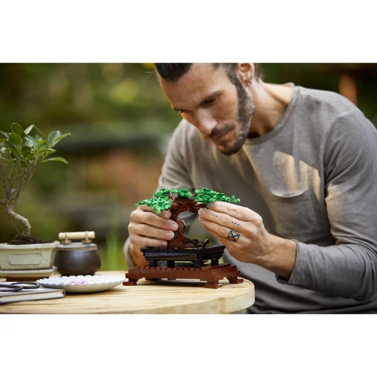 LEGO botanická kolekce – kreativní bonsaj pro dospělé