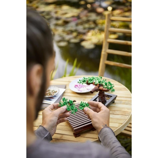 LEGO botanická kolekce – kreativní bonsaj pro dospělé