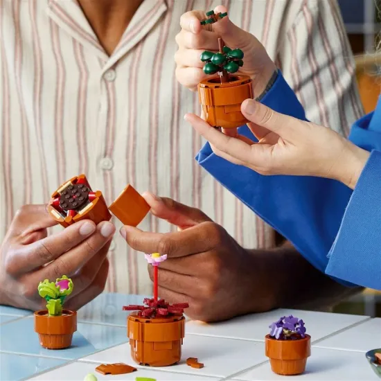 LEGO Miniaturní rostliny 10329 – nádherné modely v terakotových květináčích