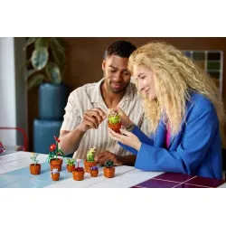 LEGO Botanicals 10329 Miniaturní rostliny