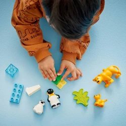 LEGO DUPLO 10442 Rodinky divokých zvířat: Tučňáci a lvi