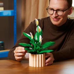 LEGO Botanicals 11504 Toulcovec