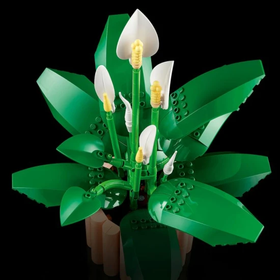 LEGO Botanicals 11504 Toulcovec