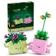 LEGO Botanicals 11506 Houpající se rostlinky
