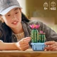 LEGO Botanicals 11509 Kvetoucí kaktus LEGO Botanicals 11509 Kvetoucí kaktus