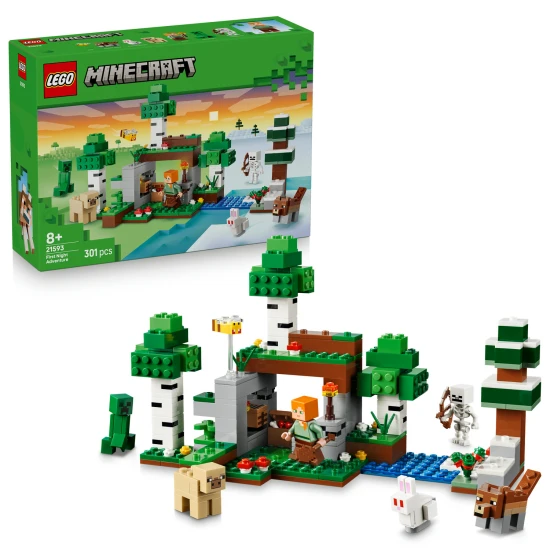 LEGO Minecraft 21593 První noční dobrodružství