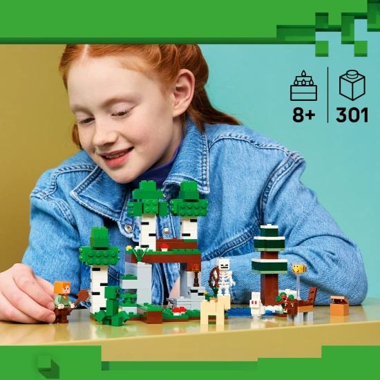LEGO Minecraft 21593 První noční dobrodružství