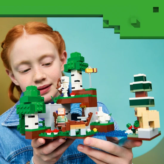 LEGO Minecraft 21593 První noční dobrodružství
