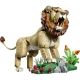 LEGO Creator 31386 Divoká zvířata: Majestátní lev LEGO Creator 31386 Divoká zvířata: Majestátní lev