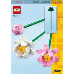 LEGO Botanicals 40647 Lotosové květiny