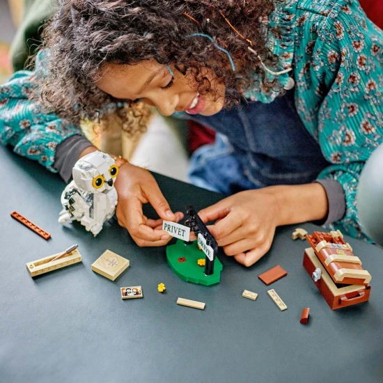 LEGO Harry Potter: Hedvika na Privátní cestě 4