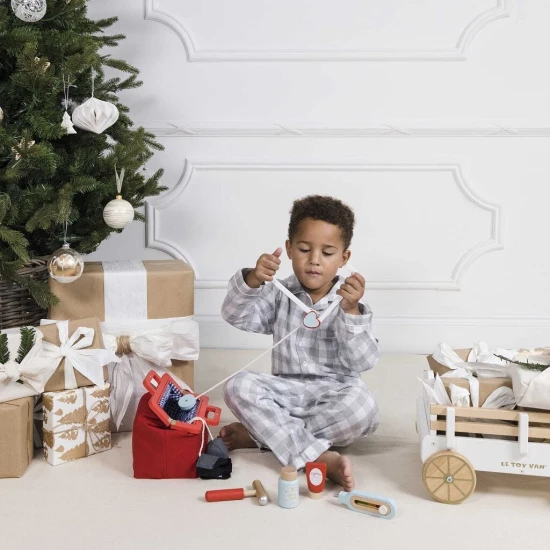 Le Toy Van Doktorská sada v taštičce 10 ks Lékařská sada s vybavením podpoří rozvoj dětí.