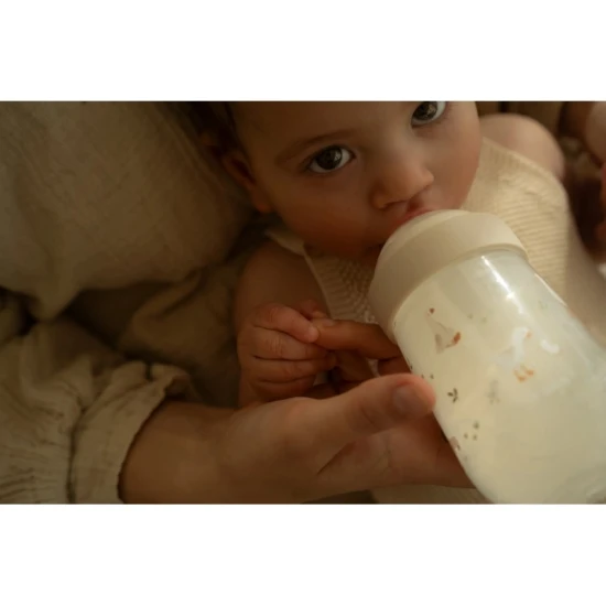 Little Dutch Kojenecké láhve 165 ml + 240 ml + 2 dudlíky Husa