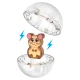Magnetická stavebnice MAGNA-TILES Hamster Ball – 13 dílů včetně míčku a figurky křečka