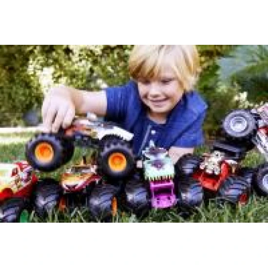 Hot Wheels Monster Trucks velké auto