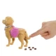 Barbie panenka se psíkem na procházce