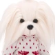 Lucky Doggy Plyšový pejsek Maltézská fenka - Mimi Scandinavian Motif