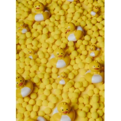 Petit Boum, Happy Bubble Kachnička