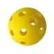 Schildkröt sada na pickleball