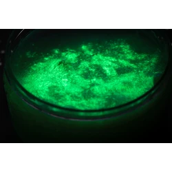 DIY Slime Sada na výrobu slizu Glow in the dark XL
