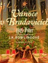 Harry Potter: Vánoce v Bradavicích