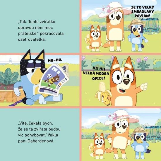 Bluey Zoo