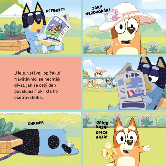 Bluey Zoo