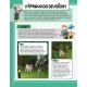 Kniha Minecraft – Začínáme hrát pro začátečníky