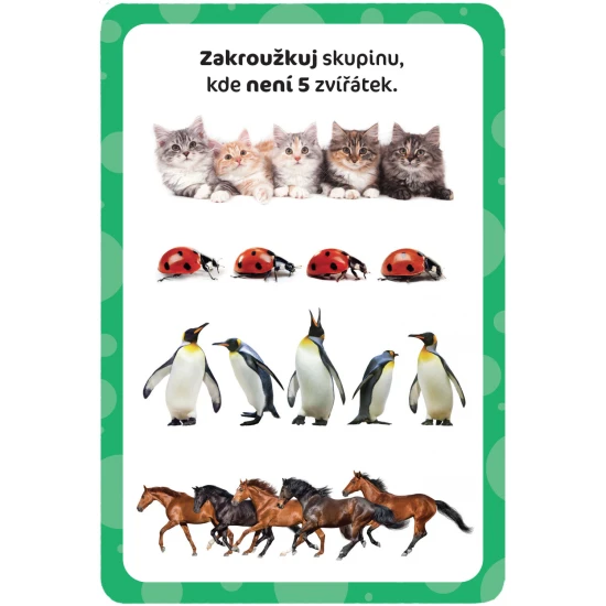Ella a Max Kouzelný tablet & stíratelné karty – První POČÍTÁNÍ Set Kouzelný tablet a 25 stíratelných karet – edukativní pomůcka pro děti na učení čísel a počítání.