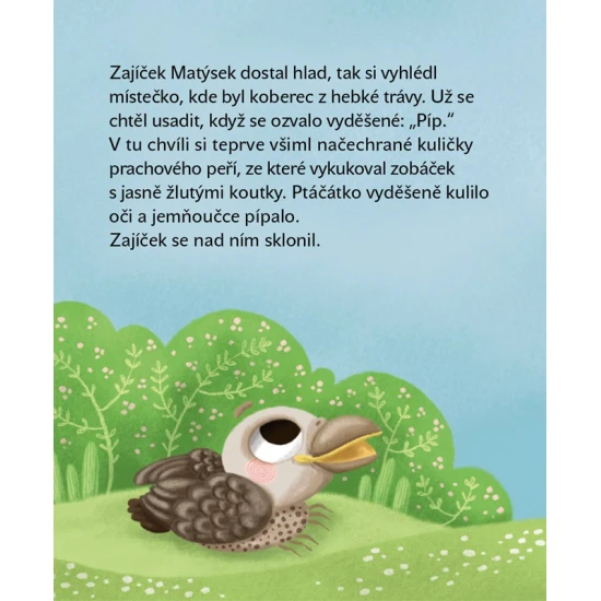 Matýskovy dobré skutky: Když malý zajíček pomáhá velkým srdcem