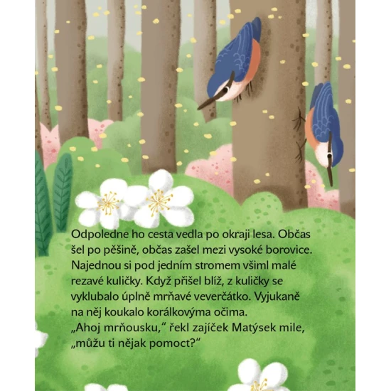 Matýskovy dobré skutky: Když malý zajíček pomáhá velkým srdcem