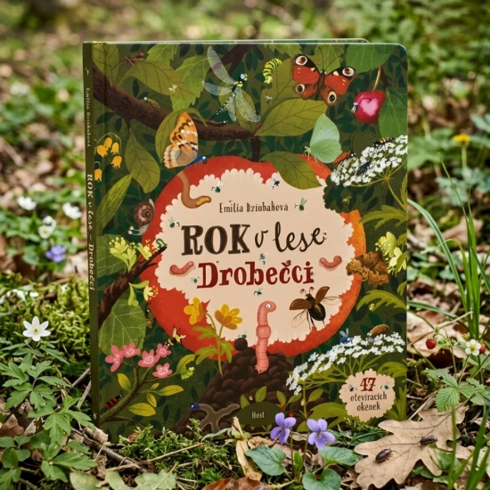 Pokračování oblíbené hledací knížky Rok v lese vezme děti na výpravu do (nejen) hmyzího světa!