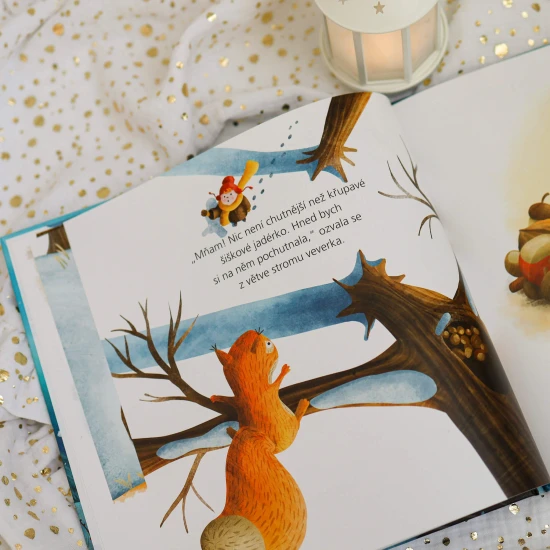 Vánoční příběh o chlapci, který povýšil i nejobyčejnější věc na věc výjimečnou.