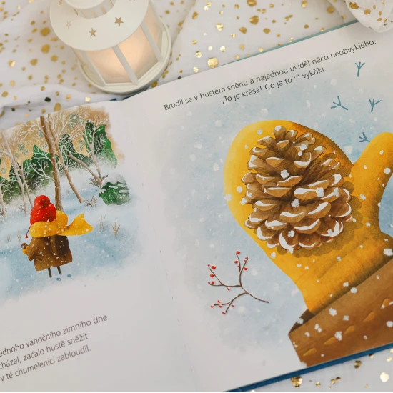 Vánoční příběh o chlapci, který povýšil i nejobyčejnější věc na věc výjimečnou.