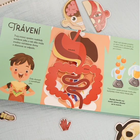 Interaktivní a zábavná kniha s úžasnými pop-up obrázky je ideální pro malé zvědavce, kteří se chtějí dozvědět mnoho zajímavého a poučného o lidském těle.