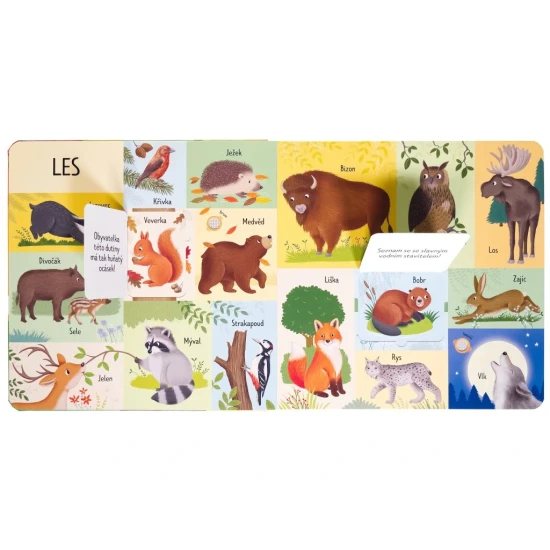 101 prvních slov – Kniha plná zvuků a zvířecích překvapení