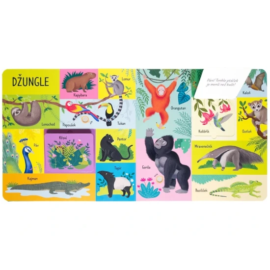 101 prvních slov – Kniha plná zvuků a zvířecích překvapení