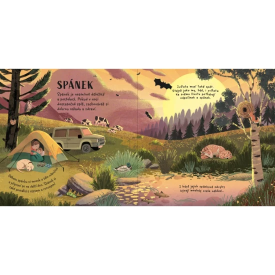 Je čas jít spát, zvířata - Svojtka & Co. 9788025641385